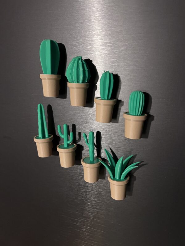 3D-printade kaktusmagneter – unika och dekorativa! 🌵