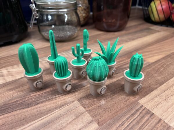 3D-printade kaktusmagneter – unika och dekorativa! 🌵 – Bild 3